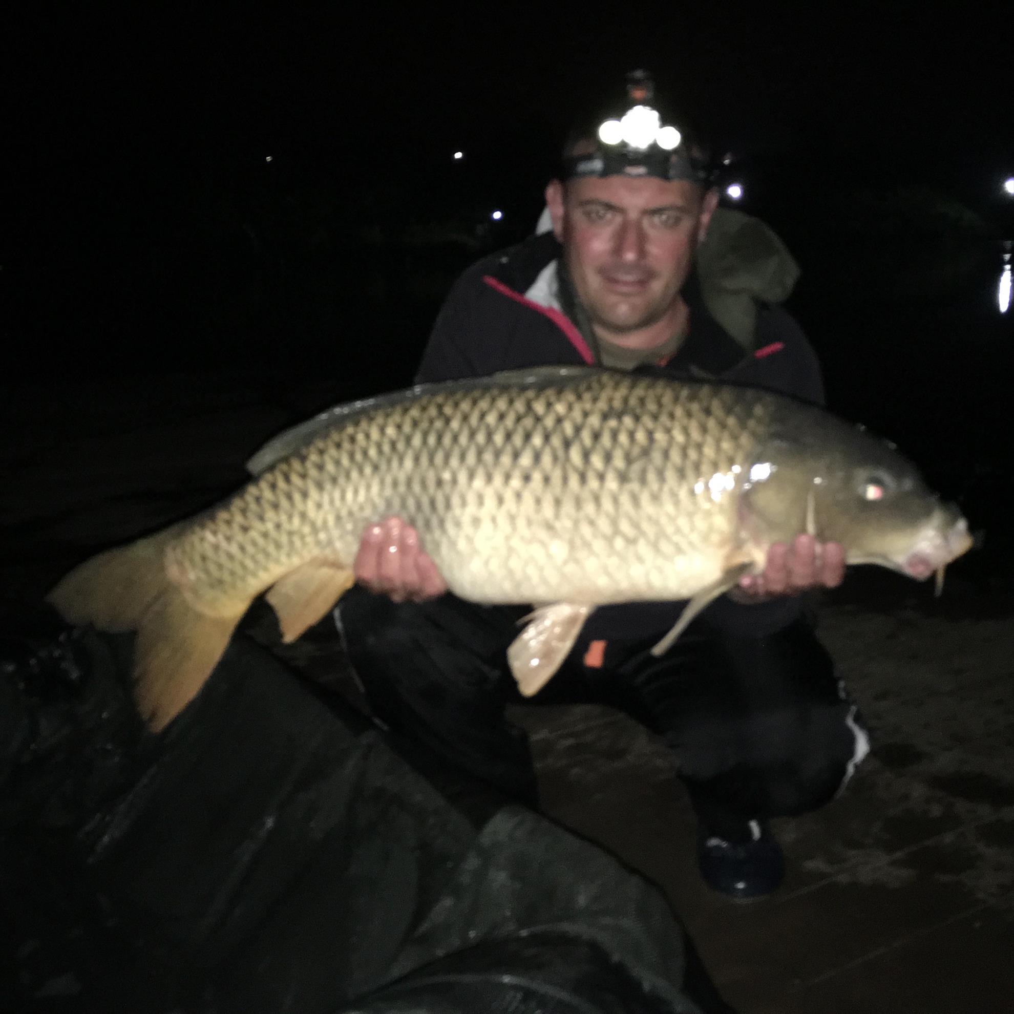 Moara Vlasiei 2016 - img5855.JPG